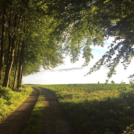 Ferienwohnung Pagel Риденбург Экстерьер фото